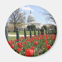 US Capitol spring flower Magnet