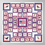 USA 50 STATE BIRDS WHITE/553 posters