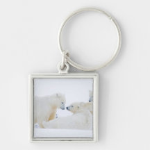 USA, Alaska, 1002 Coastal Plain of the Arctic Keychains