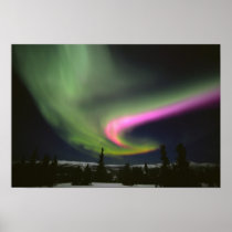 USA, Alaska, Chena Hot Springs. Aurora 2