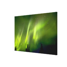 USA, Alaska, Chena Hot Springs. Aurora 3 Gallery Wrap Canvas