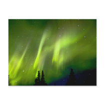 USA, Alaska, Chena Hot Springs. Aurora 3 Postcard