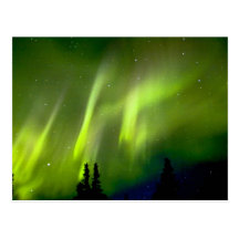 USA, Alaska, Chena Hot Springs. Aurora 3 Postcard