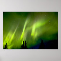 USA, Alaska, Chena Hot Springs. Aurora 3