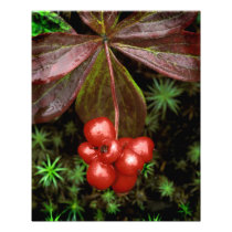 USA, Alaska, Denali National Park. Detail of