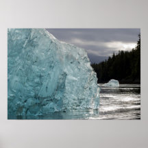 USA, Alaska, Tongass National Forest, Tracy 2 Print