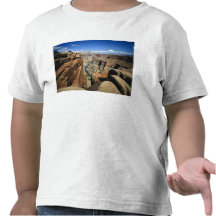 USA, Arizona, Grand Canyon National Park, Tshirt