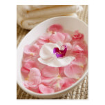 USA, California, Fairfax, Bowl of petals by Postcards