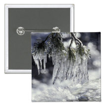 USA, California, Lake Tahoe. Icicles over Buttons