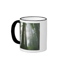 USA, California, Redwood National Park, Mugs
