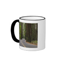 USA, California, road through Redwood forest Coffee Mugs