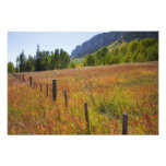 USA, Colorado, San Juan National Forest, along photography