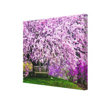 USA, Delaware, Wilmington. Wooden bench under Canvas Prints