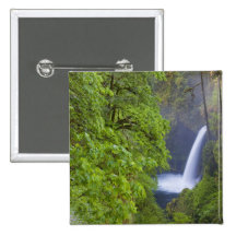 USA, Eagle Creek, Columbia Gorge, Oregon. 2 Pinback Buttons