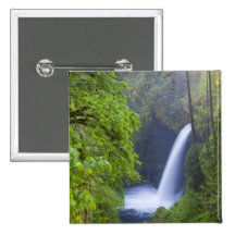 USA, Eagle Creek, Columbia Gorge, Oregon. Pin