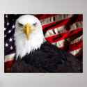 USA Eagle Patriotic posters