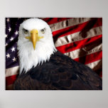 USA Eagle Patriotic posters