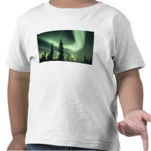 USA, Fairbanks area, Central Alaska, Aurora 2 T-shirts