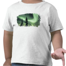 USA, Fairbanks area, Central Alaska, Aurora 2 Shirts