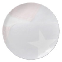 USA flag close up fade plate plates