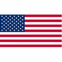 USA Flag Photo Sculpture