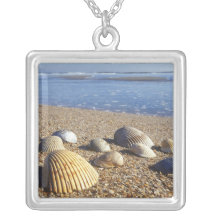USA, Florida, Coastal Sea Shells Pendants
