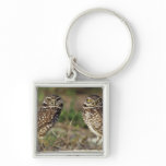 USA, Florida, Sanibel Island. Close-up of keychains