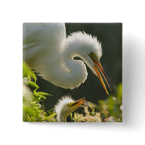 USA, Florida, St. Augustine, Alligator farm