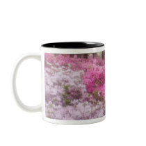 USA; Georgia; Pine Mountain. Azaleas at 2 Coffee Mug