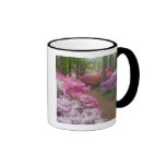 USA; Georgia; Pine Mountain. Azaleas at 2 Mugs