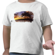 USA, Hawaii, Kauai, Colourful sunrise in a 2 T-shirt