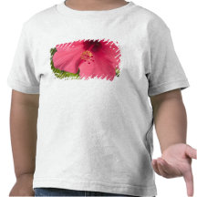 USA, Hawaii, Kauai, Hibiscus T Shirt
