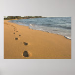 USA, Hawaii, Kauai, Kapa'a, beachfront. RF)
