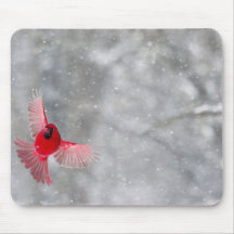 USA, Indiana, Indianapolis. A male cardinal Mouse Pad