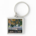 USA, IOWA, Madison County, Winterset: Howell's keychains