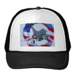 Usa Jet Mesh Hats