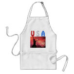 USA liberty Aprons