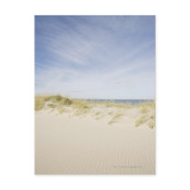 USA, Massachusetts, Cape Cod, Nantucket, sandy Post Card