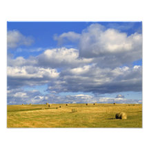 USA, Nebraska, Morrill County. Golden hay Photo