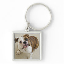 USA, New Jersey, Jersey City, Portrait of cute Key Chain