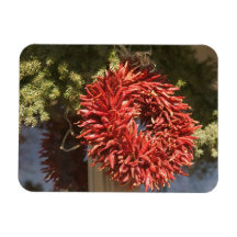 USA, New Mexico, Santa Fe: Downtown Santa Fe, 2 Rectangle Magnet