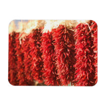 USA, New Mexico, Santa Fe: Downtown Santa Fe, 3 Rectangle Magnet