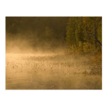 USA, New York, Adirondack Park. Sunrise mist on Postcards