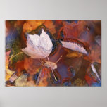 USA, Northeast, Fall leaves in puddle with