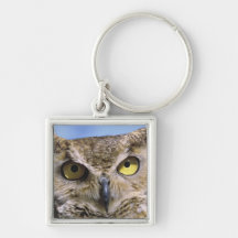 USA, Oregon, Bend. Great Horned Owls are common Keychains