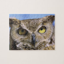 USA, Oregon, Bend. Great Horned Owls are common Puzzle