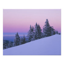 USA, Oregon, Deschutes National Forest, Dusk