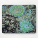 USA, Oregon, Nepture SP. Jewel-toned sea