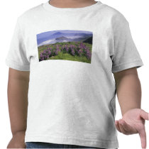 USA, Oregon, Nesika Beach. Lupine and Oregon Tshirt