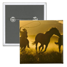 USA, Oregon, Seneca, Ponderosa Ranch. Button